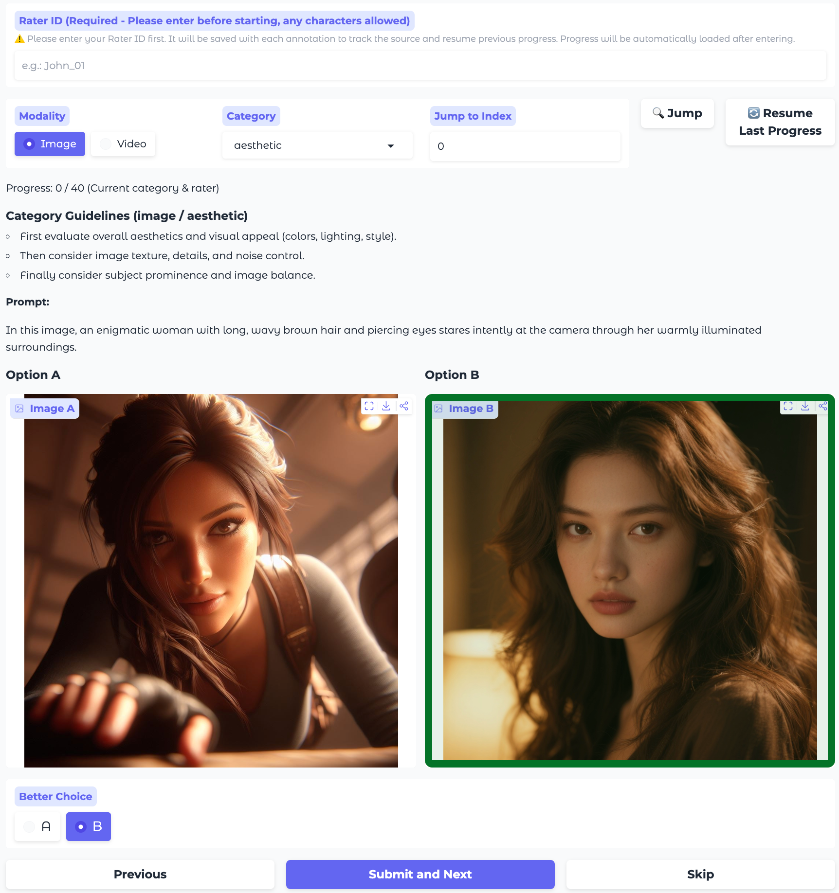 Human evaluation interface.